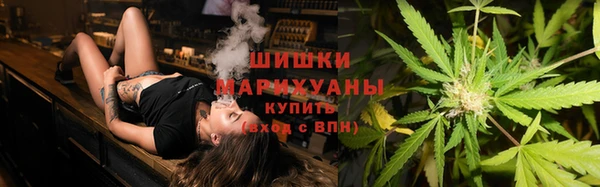 сатива Дмитриев