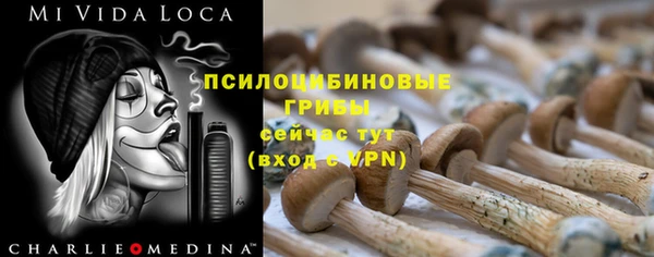 mix Дмитров