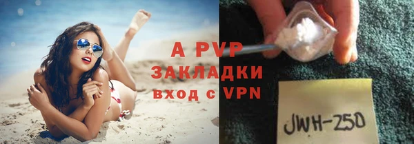 сатива Дмитриев