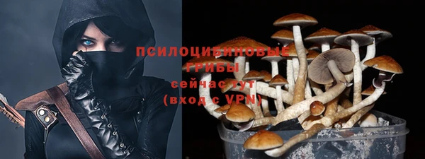 mix Дмитров