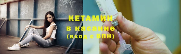 сатива Дмитриев