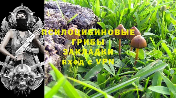 сатива Дмитриев