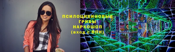 сатива Дмитриев