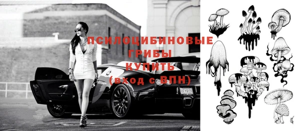 сатива Дмитриев