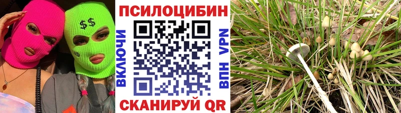 Псилоцибиновые грибы прущие грибы  блэк спрут   Кимры  закладки 